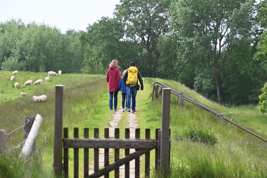 Deichspaziergang